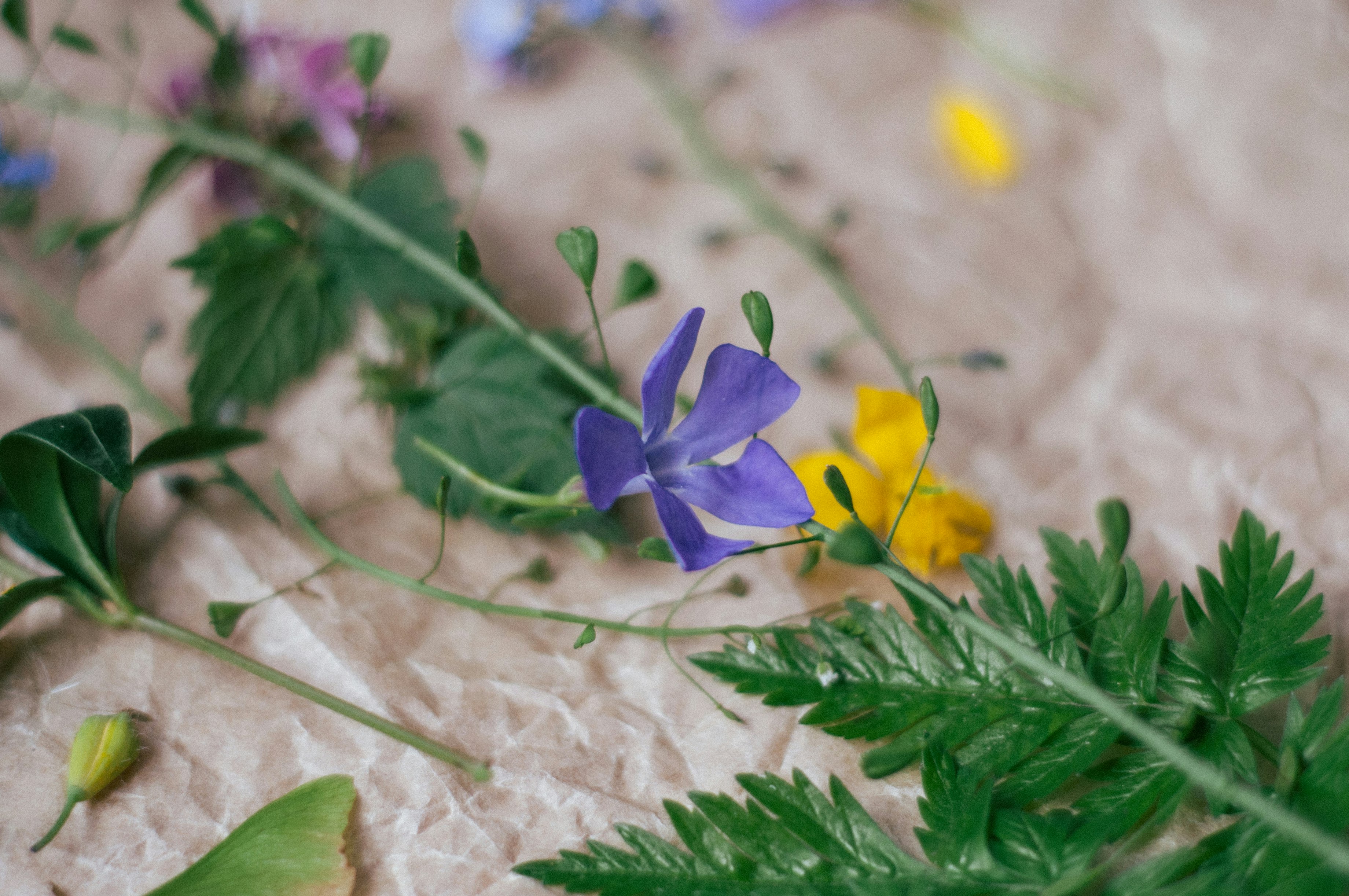 purple flower on white textile